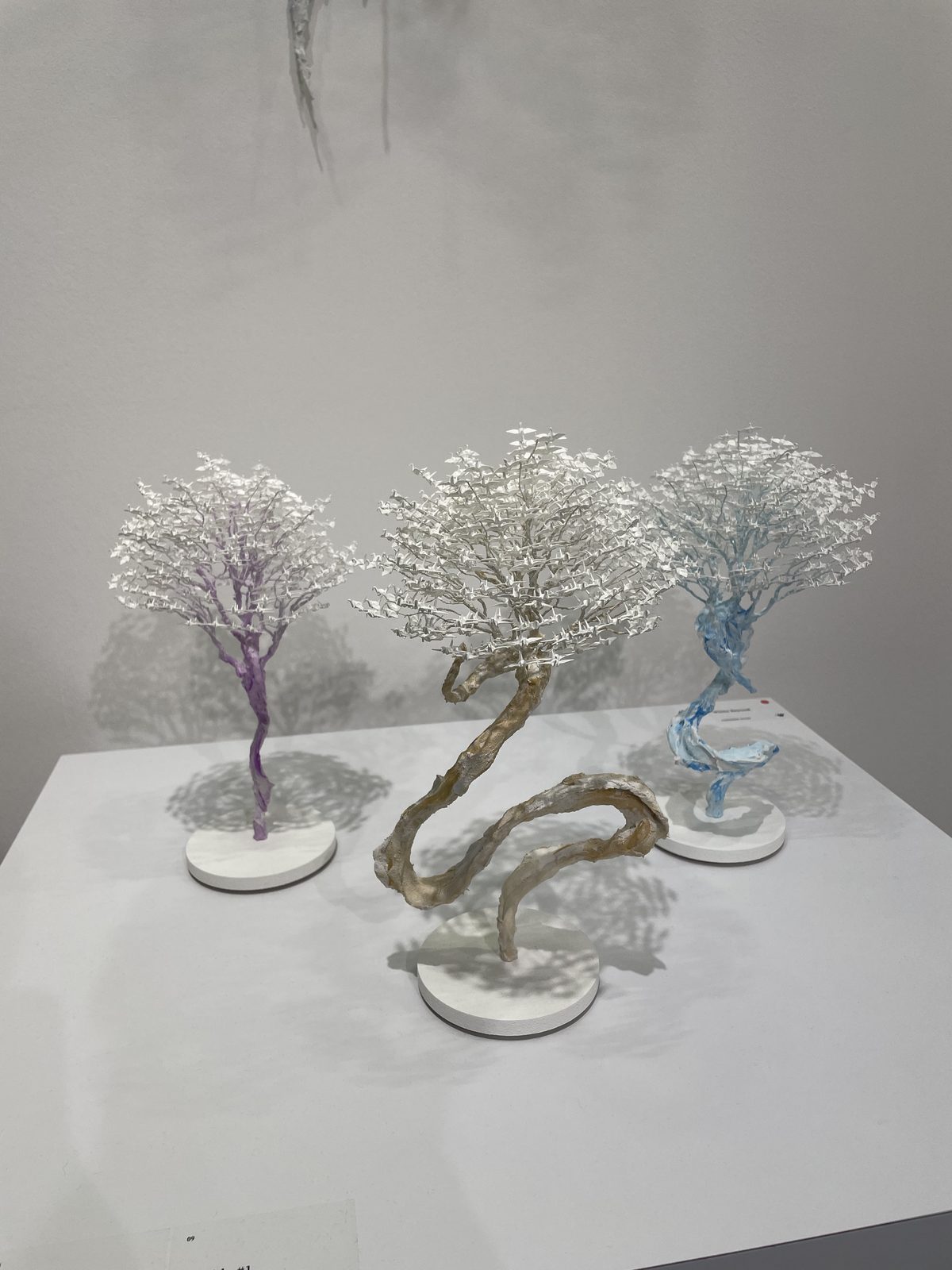 Exhibition: Three white trees.